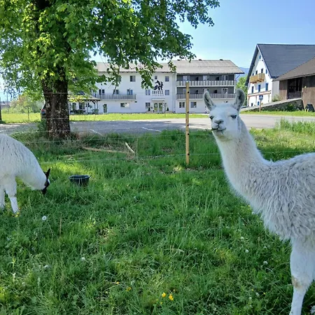 Hotel Fuchs & Hase Self Check In Rosegg