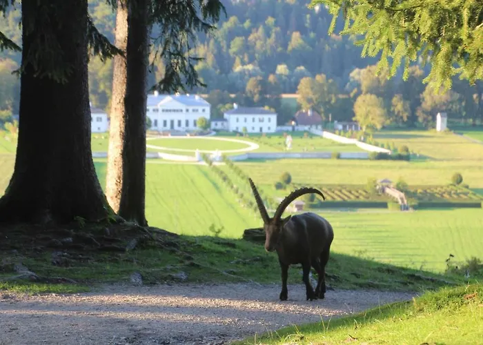 Fuchs & Hase Self Check In 3* Rosegg