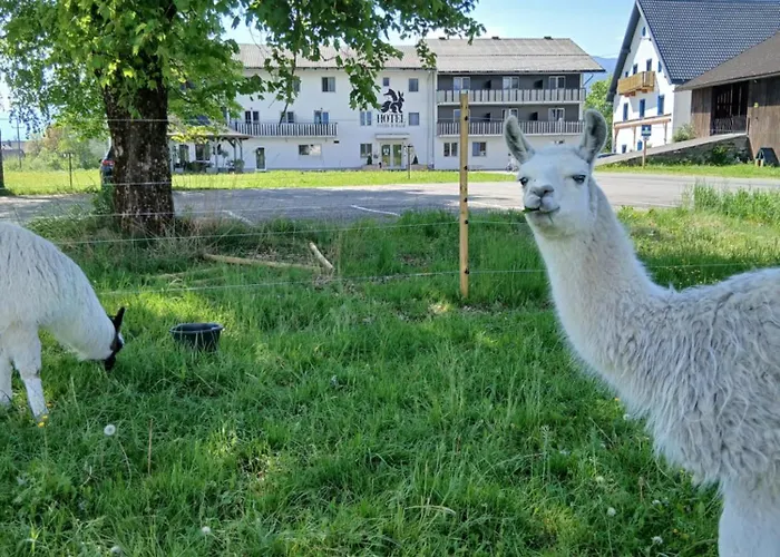 Hotel Fuchs & Hase Self Check In Rosegg